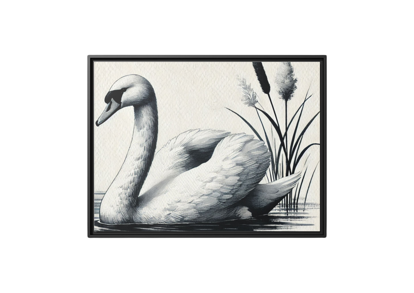 Elegant Swan