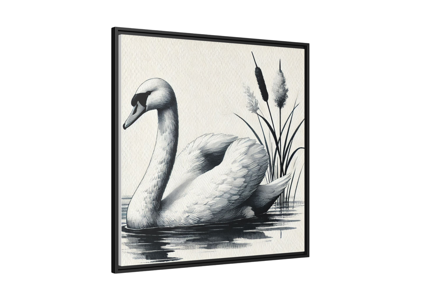 Elegant Swan