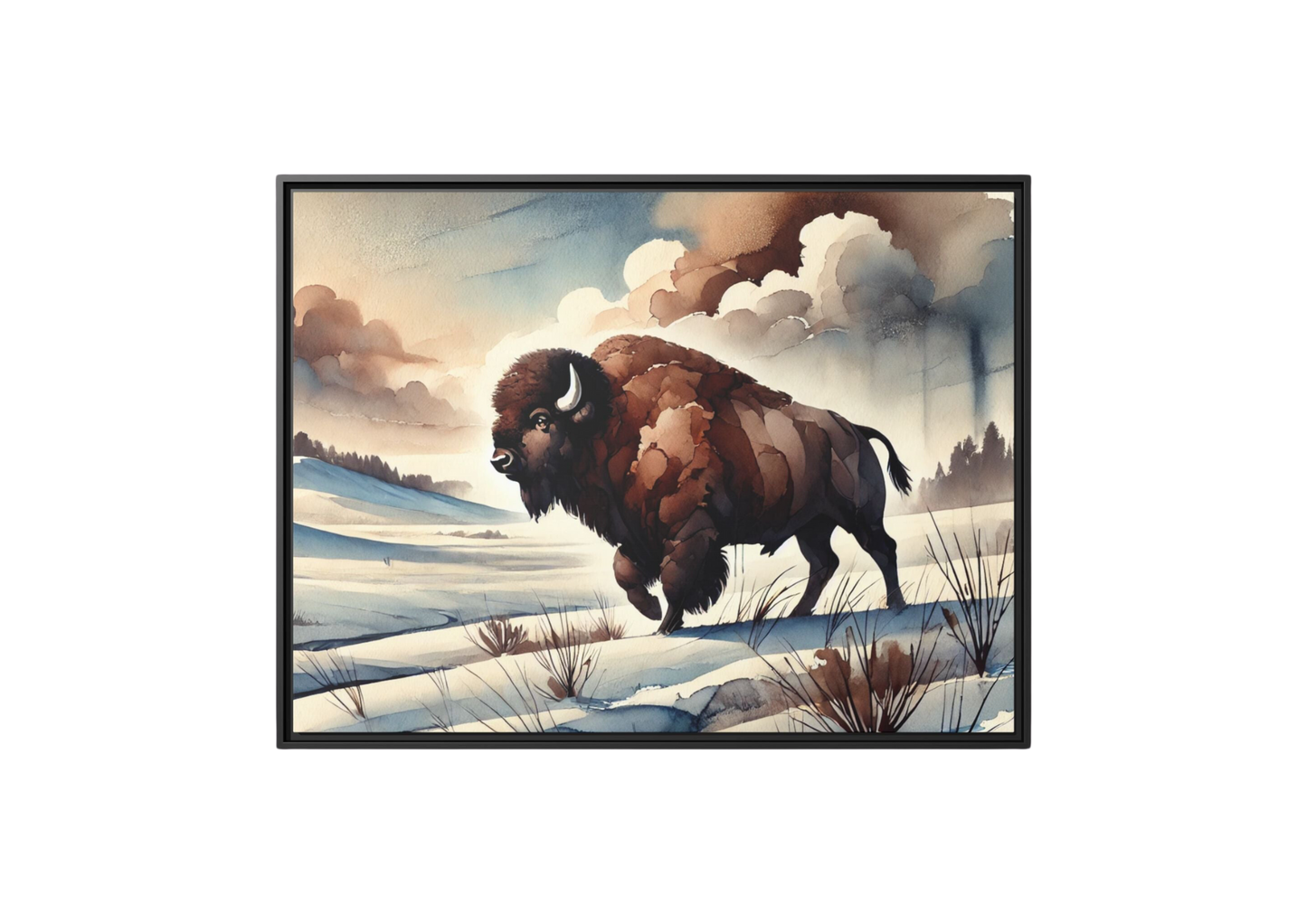 Roaming Bison