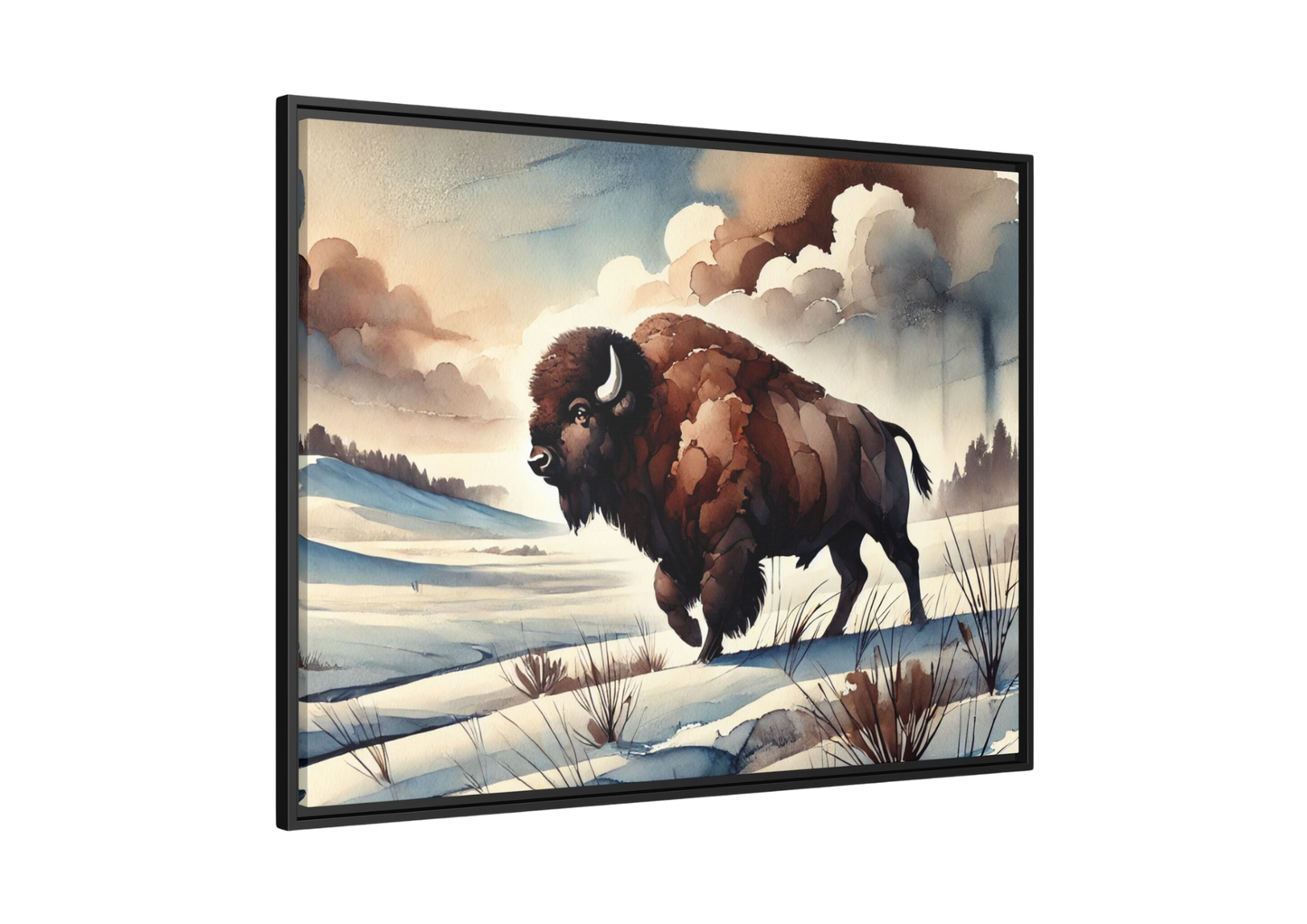 Roaming Bison